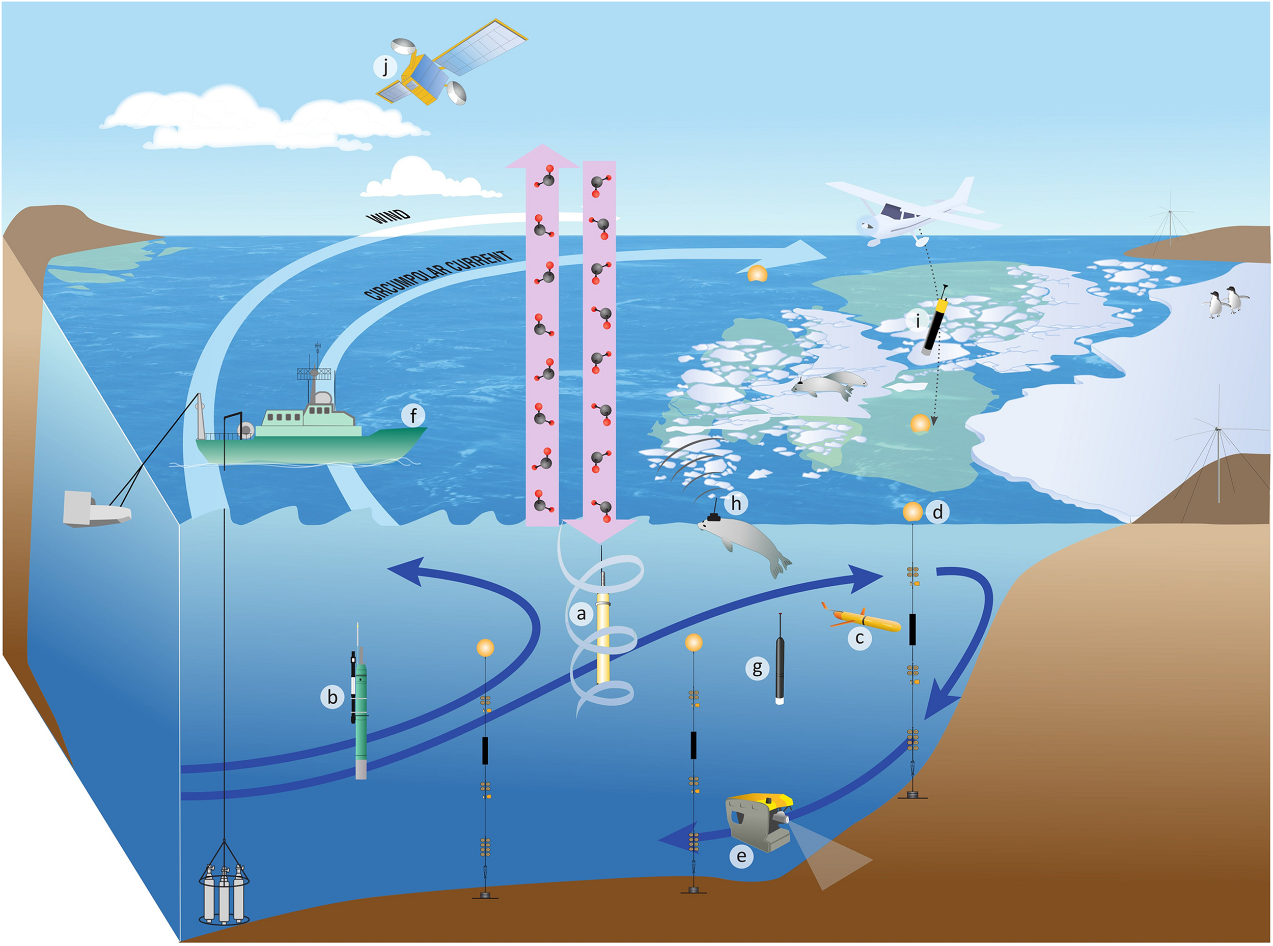 Ocean Data Analysis Workshop Held